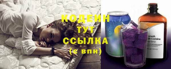 спиды Абаза