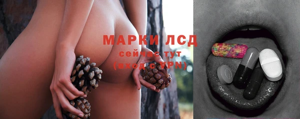 спиды Абаза