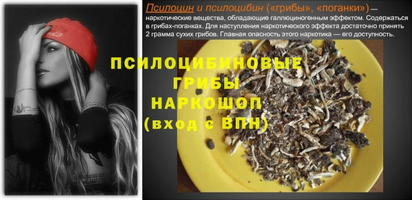 бошки Алзамай