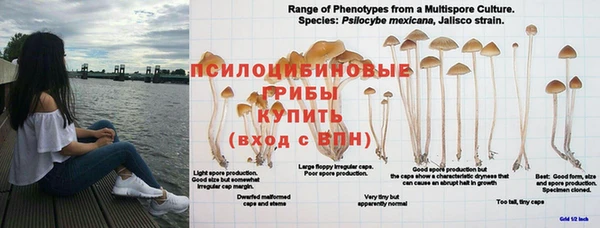 бошки Алзамай