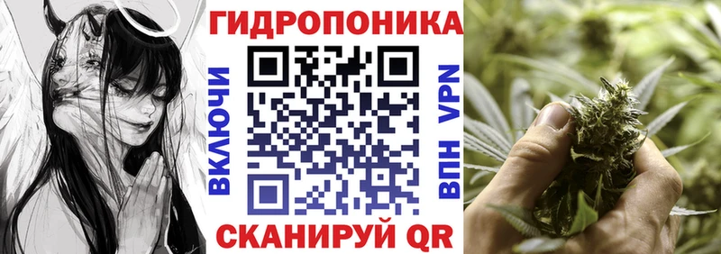 как найти   Северская  Бошки Шишки Ganja 